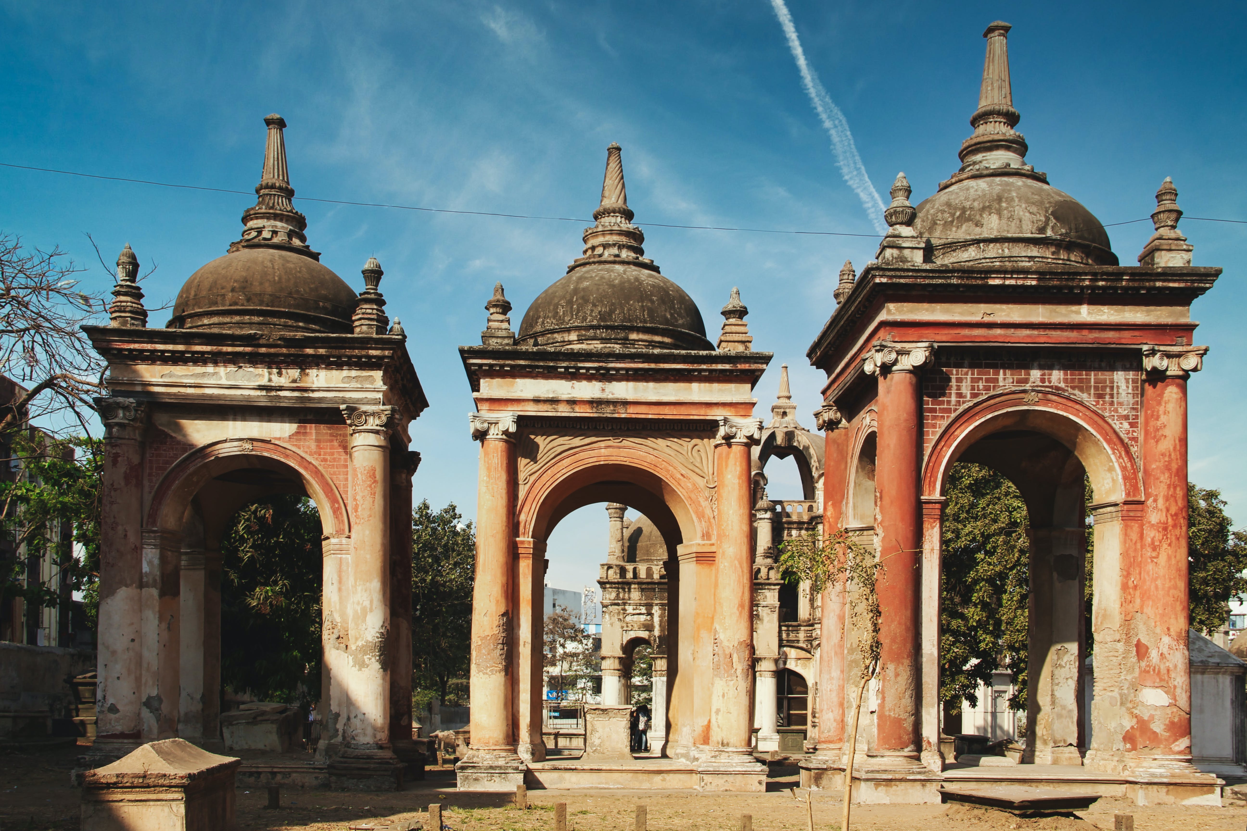 pexels-setu-chhaya-8665072